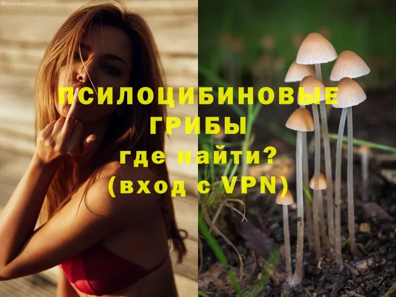 даркнет сайт  Мегион  Псилоцибиновые грибы MAGIC MUSHROOMS 